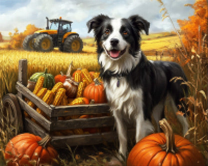 Border Collie by Wooden Cart