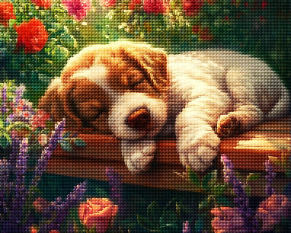 Puppy Sleeping on Garden Bench