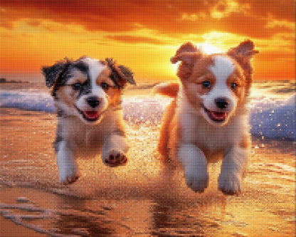 Puppies Playing on the Beach