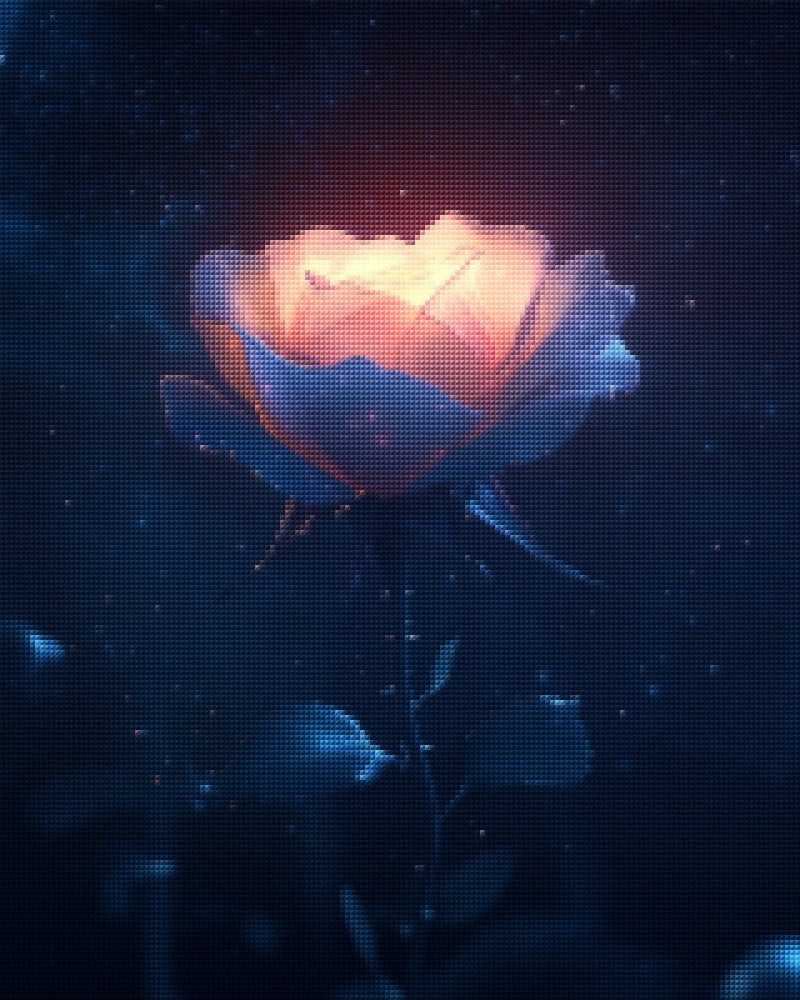 Glowing Rose Under Starry Sky