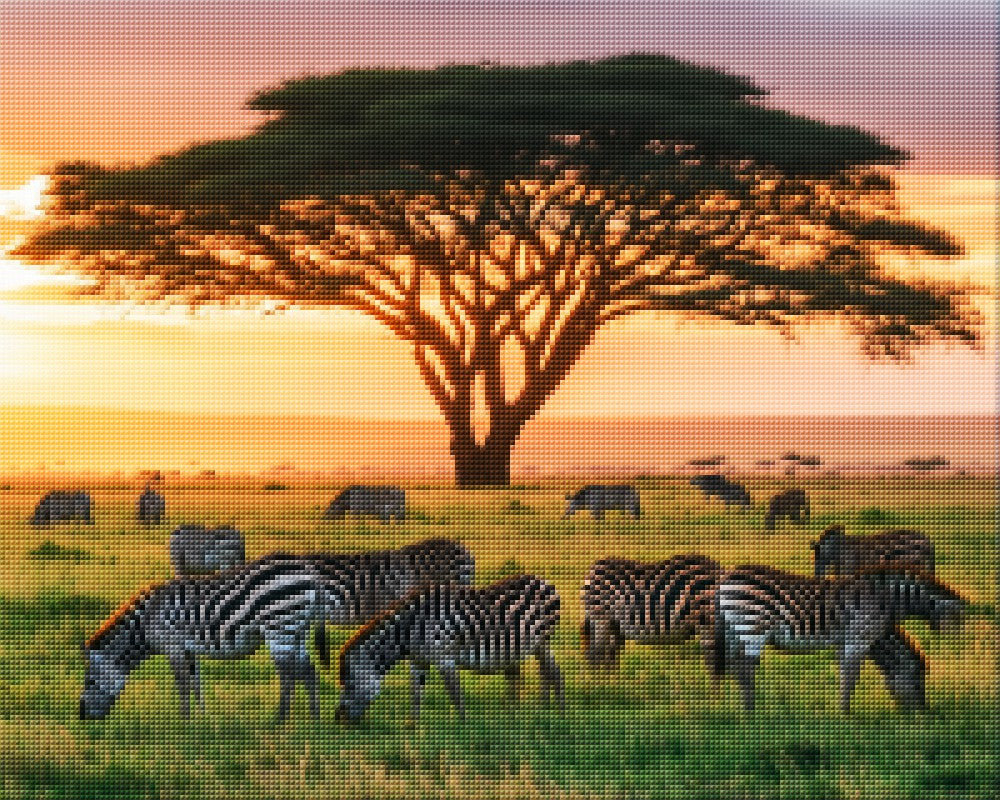 Zebras on African Grassland