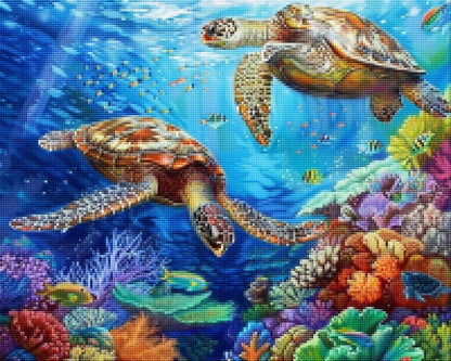 Turtle Father And Son