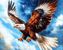 Majestic Eagle Soaring