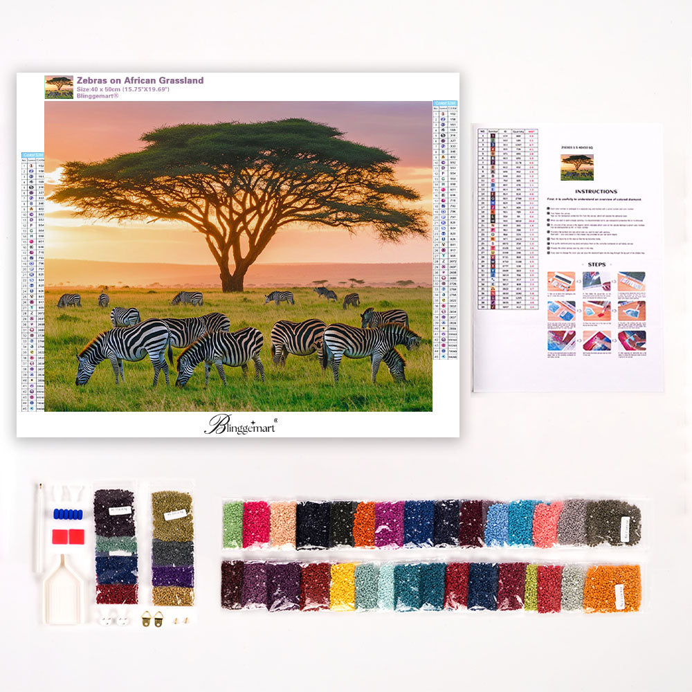 Zebras on African Grassland