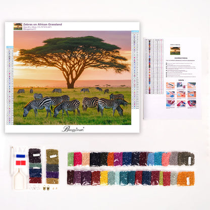 Zebras on African Grassland