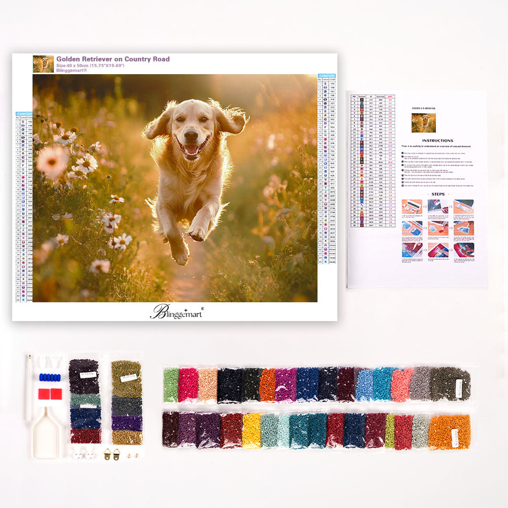 Golden Retriever on Country Road