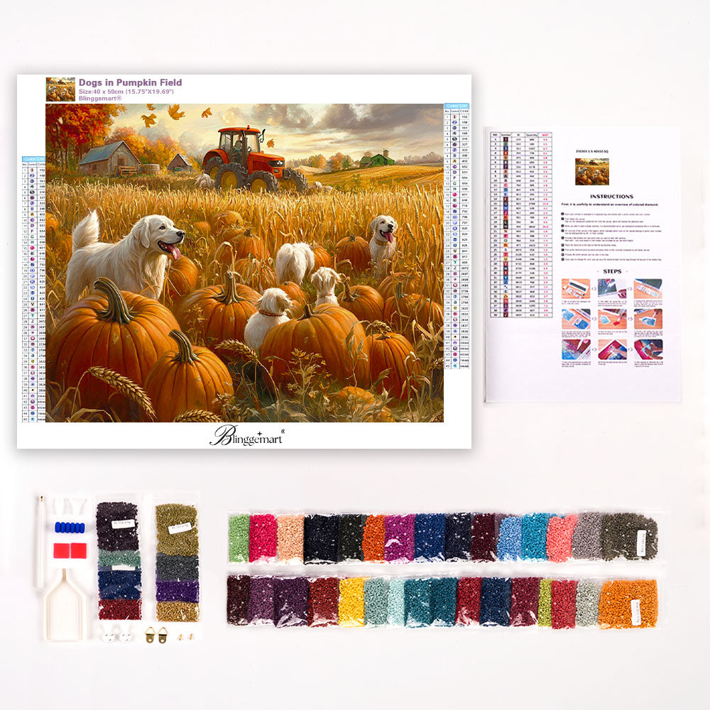 Dogs in Pumpkin Field