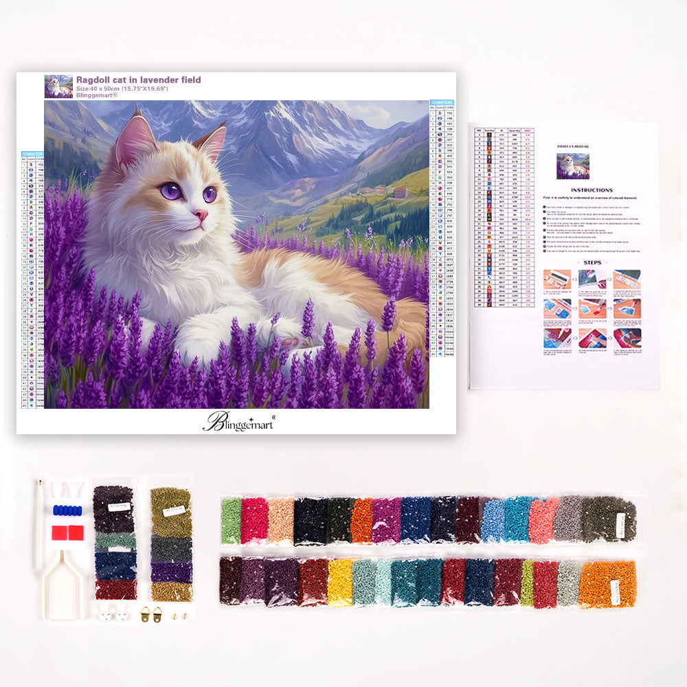 Ragdoll cat in lavender field