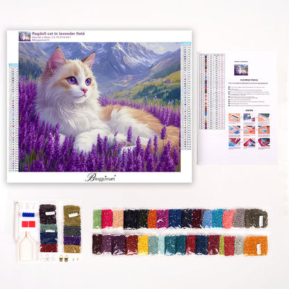 Ragdoll cat in lavender field