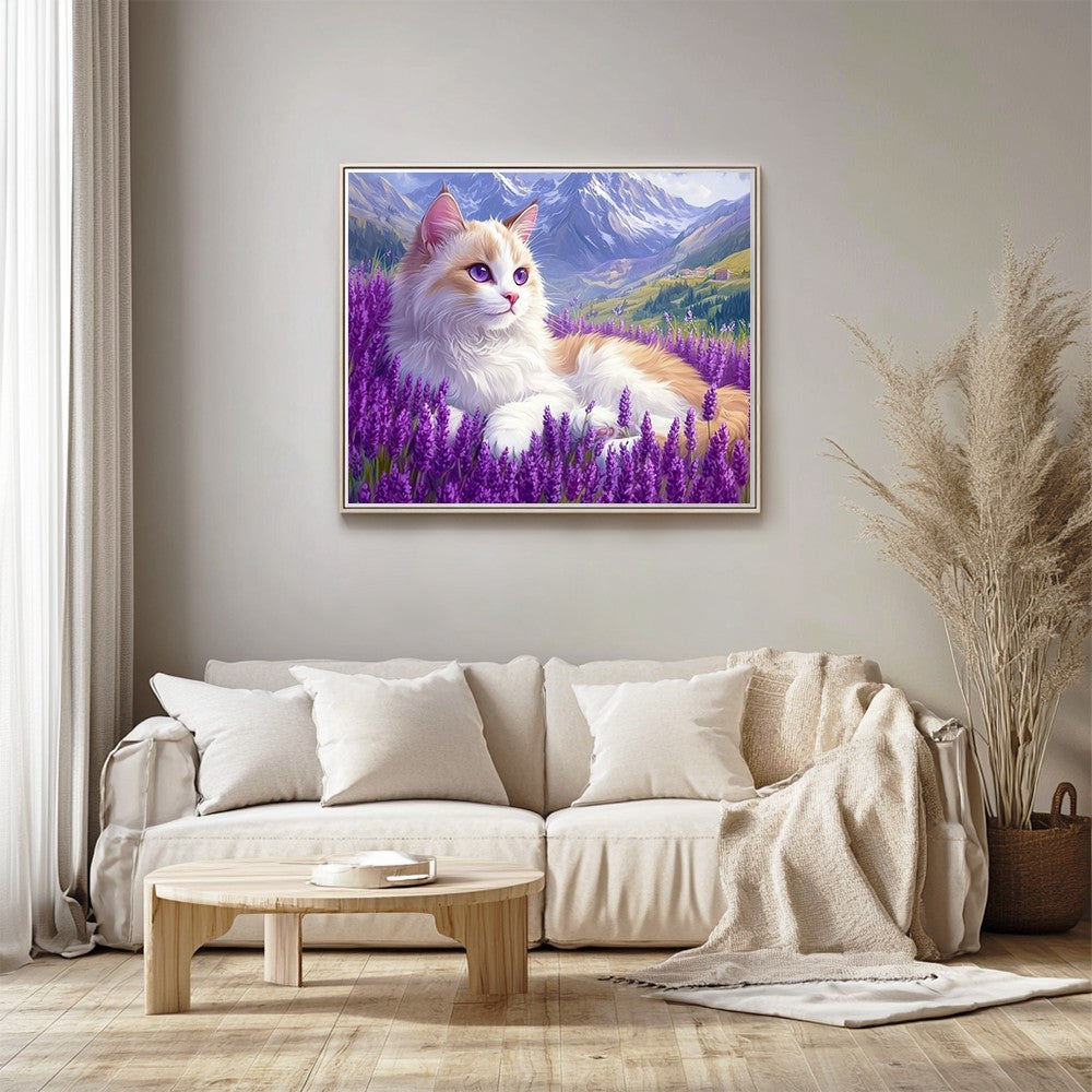 Ragdoll cat in lavender field