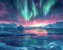 Auroras on Arctic Night