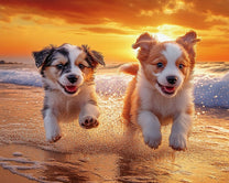 Puppies Playing on the Beach