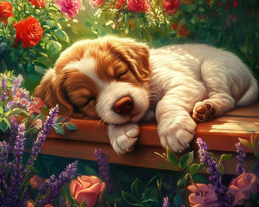 Puppy Sleeping on Garden Bench