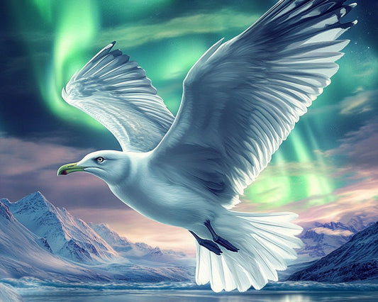Seagull Under Northern Lights